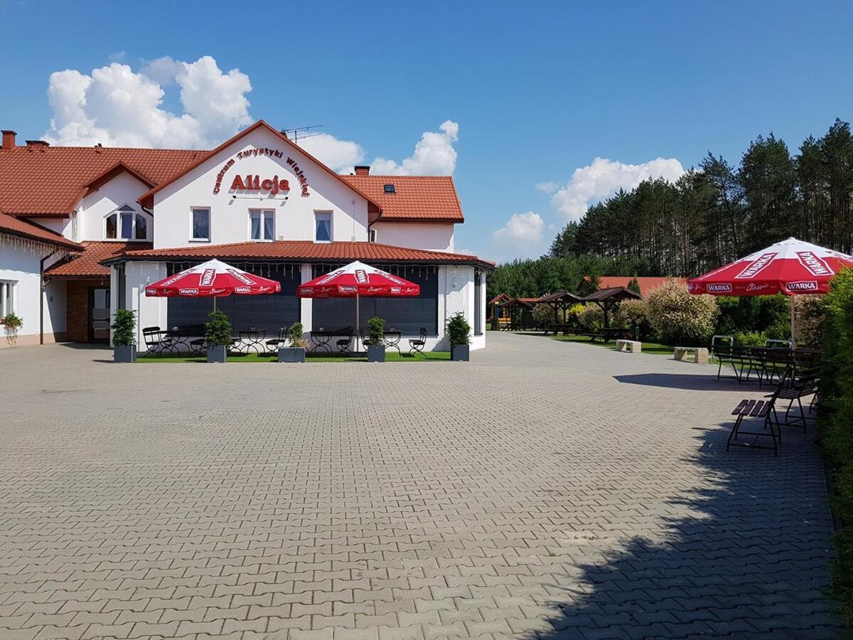 Centrum Turystyki Wiejskiej Alicja Ksiezpol 外观 照片